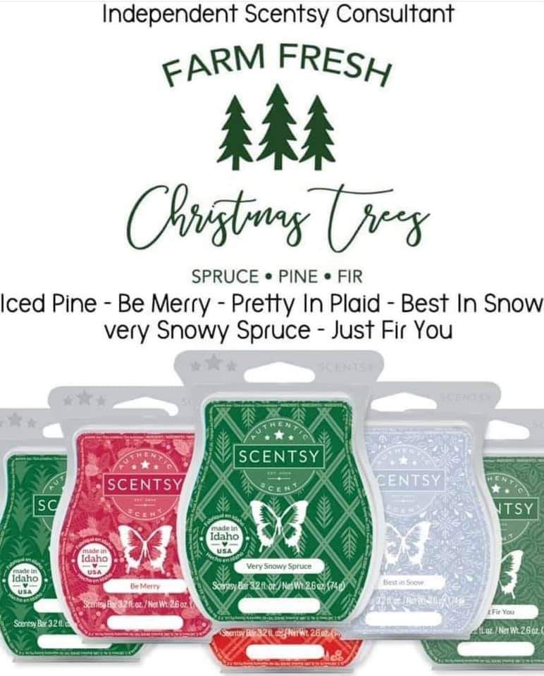 Make Scents with Theresa | 350 Perth St, Mount Forest, ON N0G 2L1, Canada | Phone: (519) 803-4766