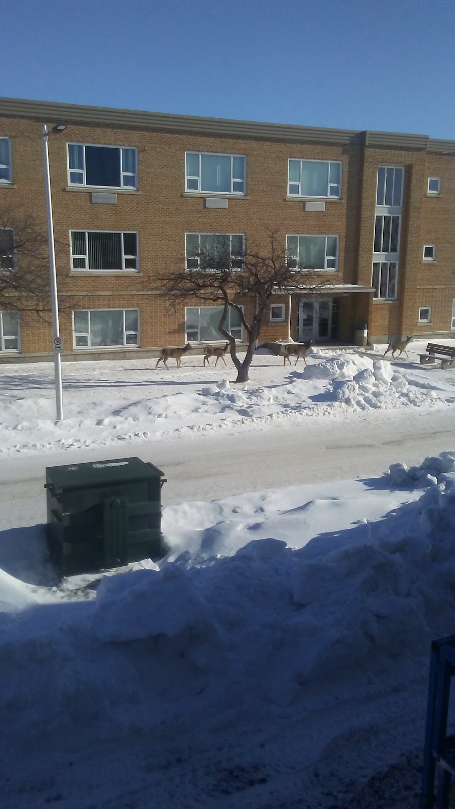 Bldg 90, 17 Wing | 3Y5, 680 Whytewold Rd, Winnipeg, MB R3J 3T3, Canada | Phone: (204) 833-2500 ext. 5139