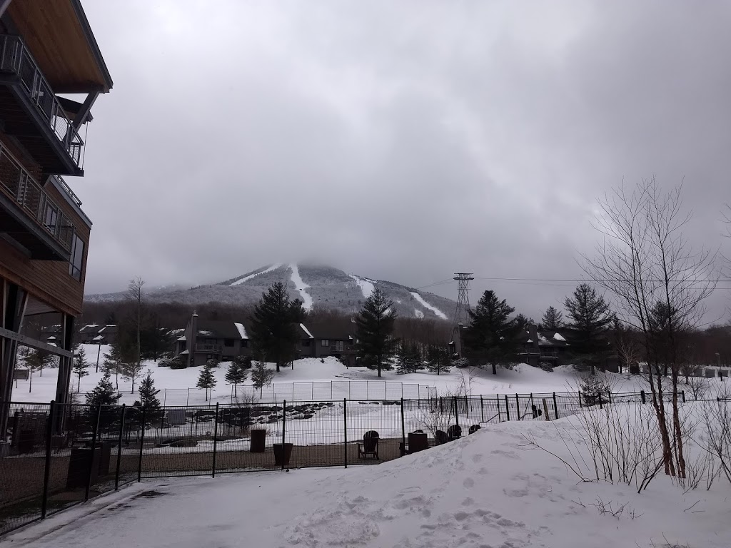 Jay Peak Stateside Hotel and Base Lodge | 830 Jay Peak Rd, Jay, VT 05859, USA | Phone: (802) 988-2752