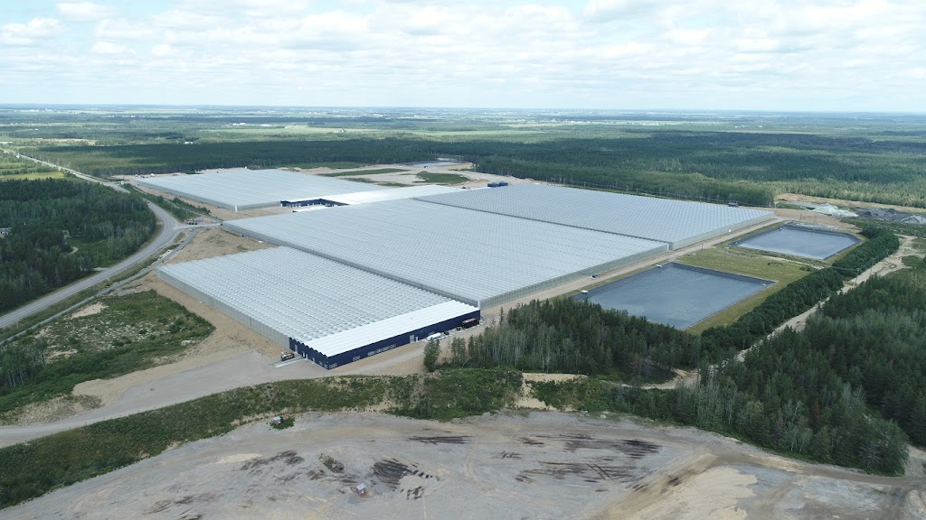 Serres Toundra | 4190 Rte St Eusèbe, Saint-Félicien, QC G8K 2N9, Canada | Phone: (418) 679-8783