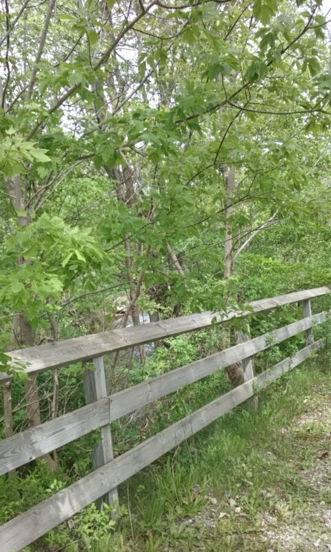 Brockway Township Community Park | 7742 Sayles Rd, Yale, MI 48097, USA | Phone: (810) 387-3375