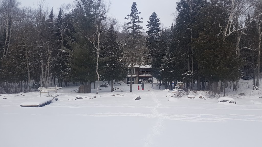 Wild Wild Rest | 1194 Dignan Rd, Haliburton, ON K0M 1S0, Canada | Phone: (416) 540-6178