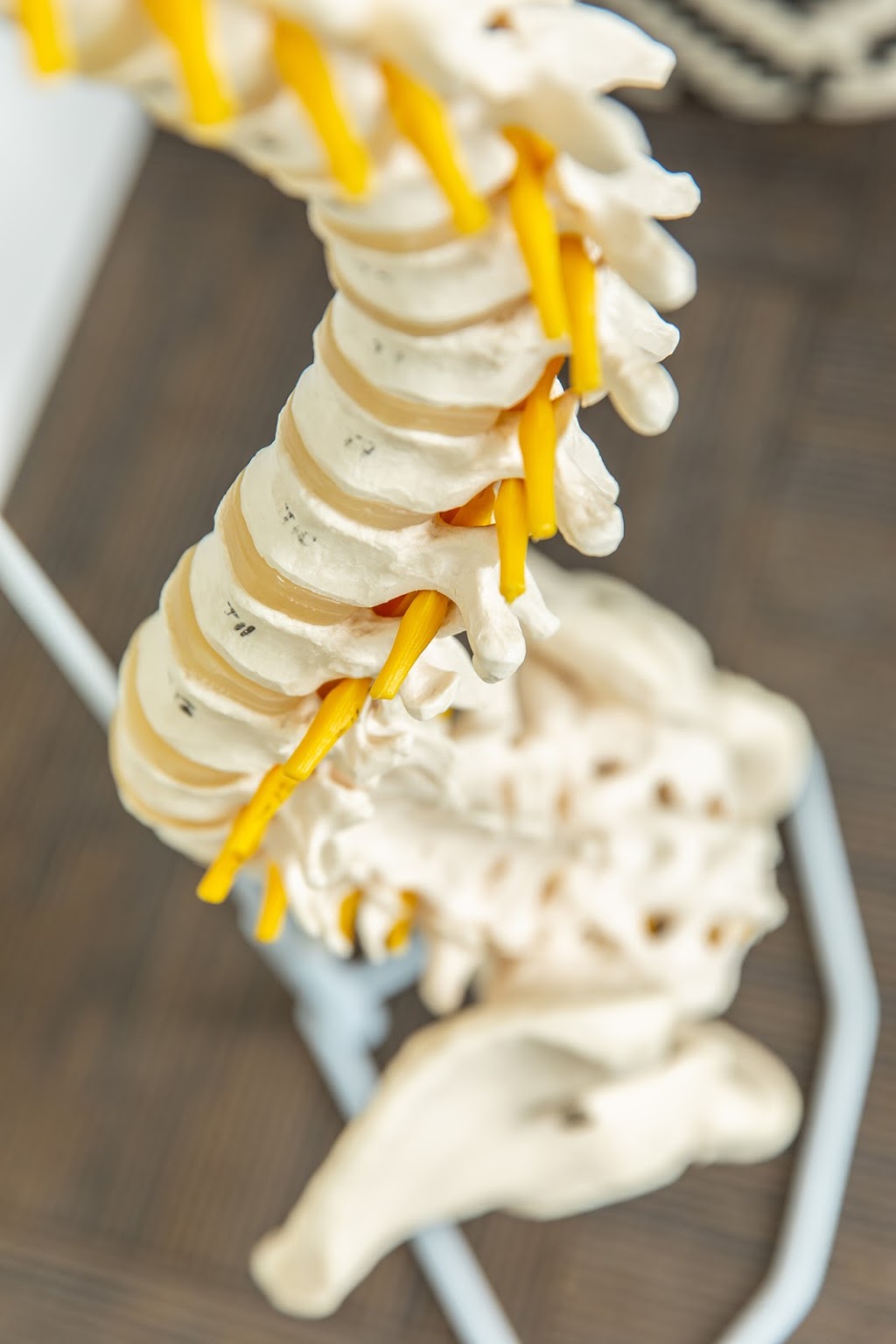 Como Lake Chiropractic and Wellness | 1960 Como Lake Ave Unit 101, Coquitlam, BC V3J 3R3, Canada | Phone: (604) 492-4477