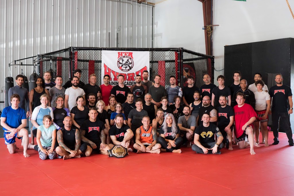Hybrid Training Academy Lakeshore | 320 Croft Dr, Tecumseh, ON N8N 2L9, Canada | Phone: (866) 959-7776