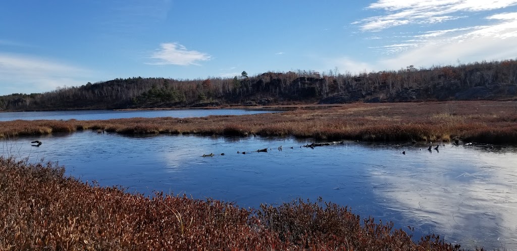 Loachs Walking Trail | Loachs Ext, Sudbury, ON P3E 5R8, Canada
