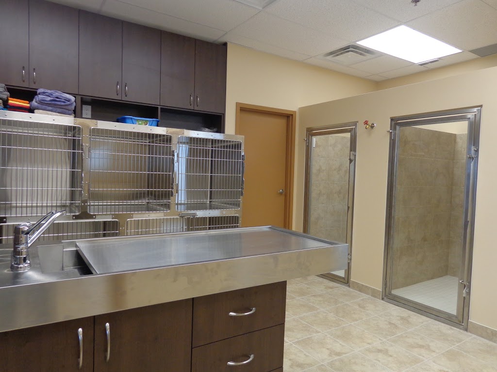 Upper Oakville Pet Hospital | 1011 Upper Middle Rd E a12, Oakville, ON L6H 4L2, Canada | Phone: (905) 338-8387