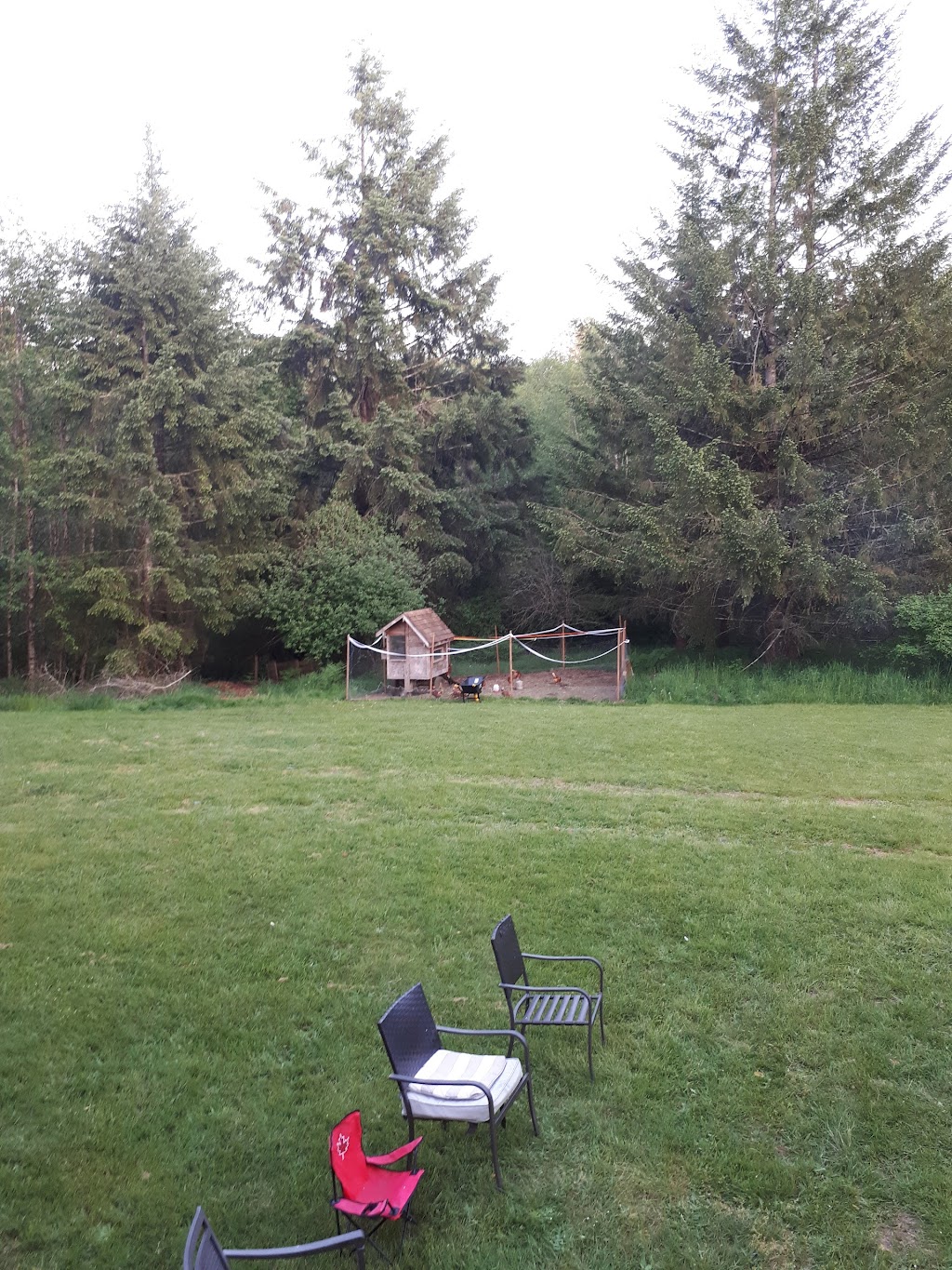 Glenora Farm | 4766 Waters Rd, Duncan, BC V9L 6S9, Canada | Phone: (250) 715-1559