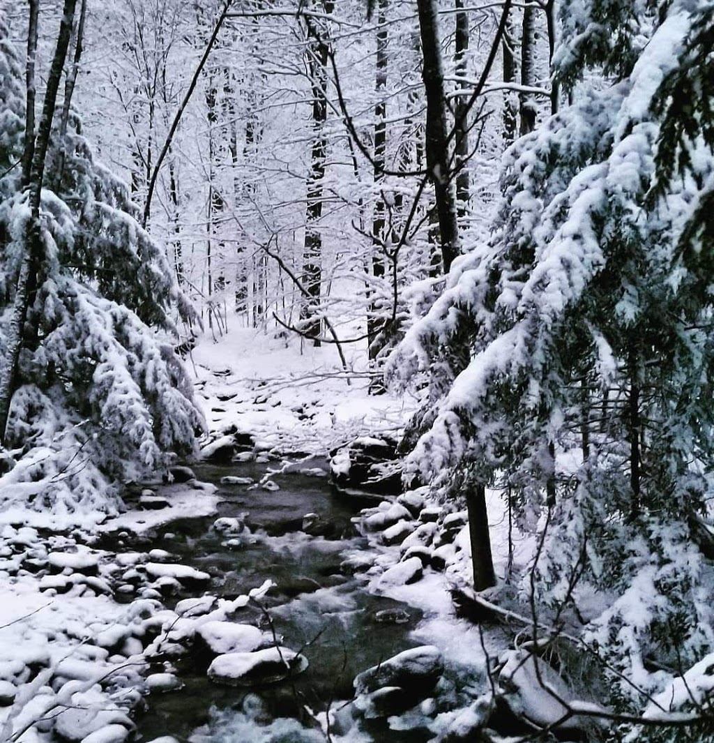 Plein air Sutton / MTB | 429 Rue Maple, Sutton, QC J0E 2K0, Canada | Phone: (450) 538-6464
