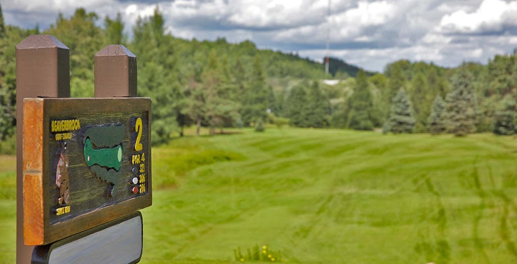 Gull River Golf Club | Golf Course Rd, Minden, ON K0M 2K0, Canada | Phone: (705) 286-1378