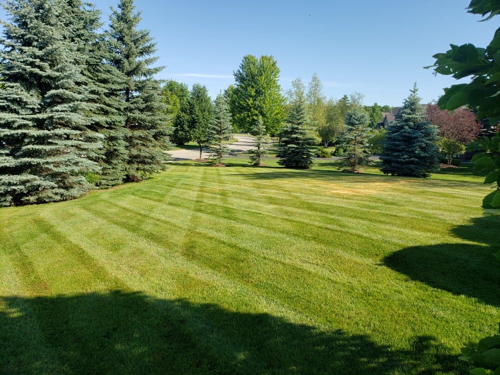 R & R Property Services | 40 Moulton Ct, Ingersoll, ON N5C 4C4, Canada | Phone: (905) 586-1349