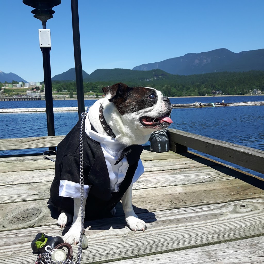 Reed Point Marina | 850 Barnet Hwy, Port Moody, BC V3H 1V6, Canada | Phone: (604) 937-1600