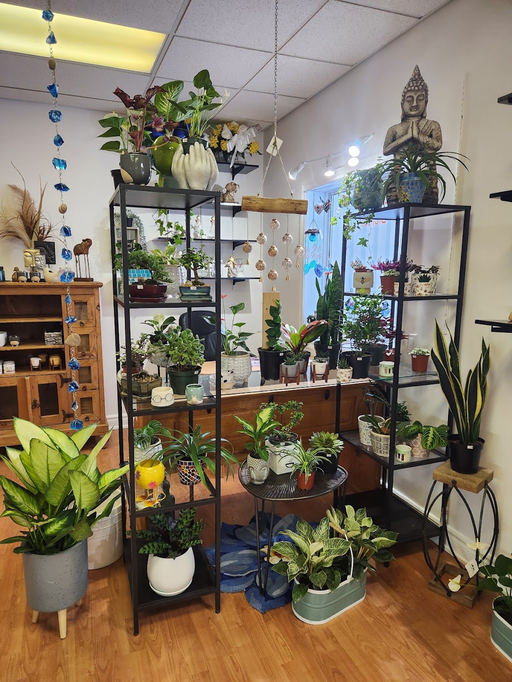 Fleur de Guy | 101 Rue Principale, Saint-André-Avellin, QC J0V 1W0, Canada | Phone: (819) 983-1099