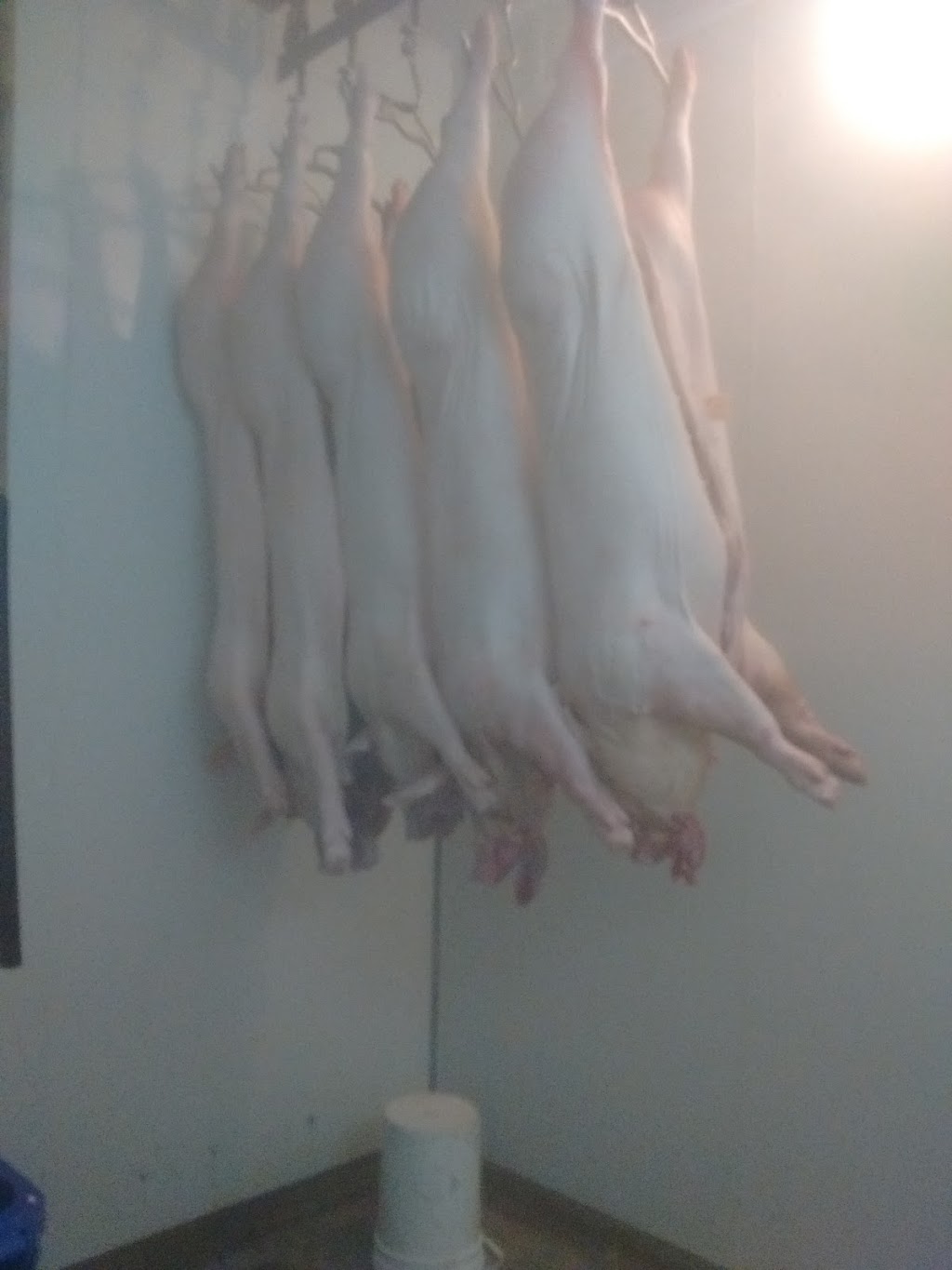 Boucherie-Abattoir Tarte Enr | 164 Ch Du Ruisseau-Saint-Louis, Marieville, QC J3M 1P1, Canada | Phone: (450) 460-7995