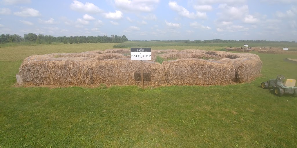 Thatcher FARMS | 5727 5th Line, Guelph/Eramosa, ON N0B 2K0, Canada