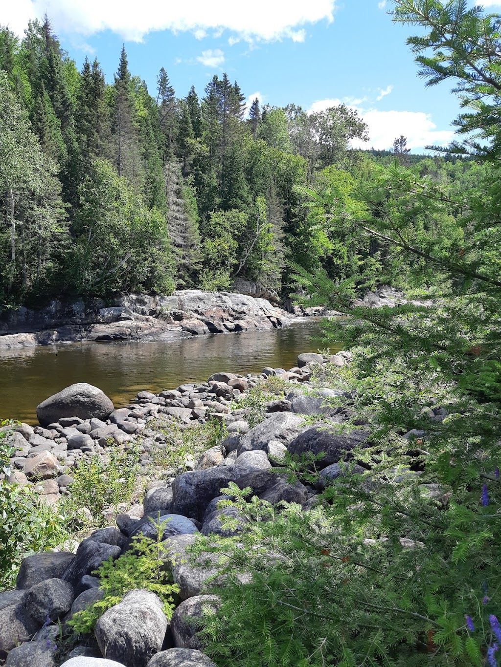 Association De La Riviere | 100 Rue Eugène Morin, Petit-Saguenay, QC G0V 1N0, Canada | Phone: (418) 272-1169