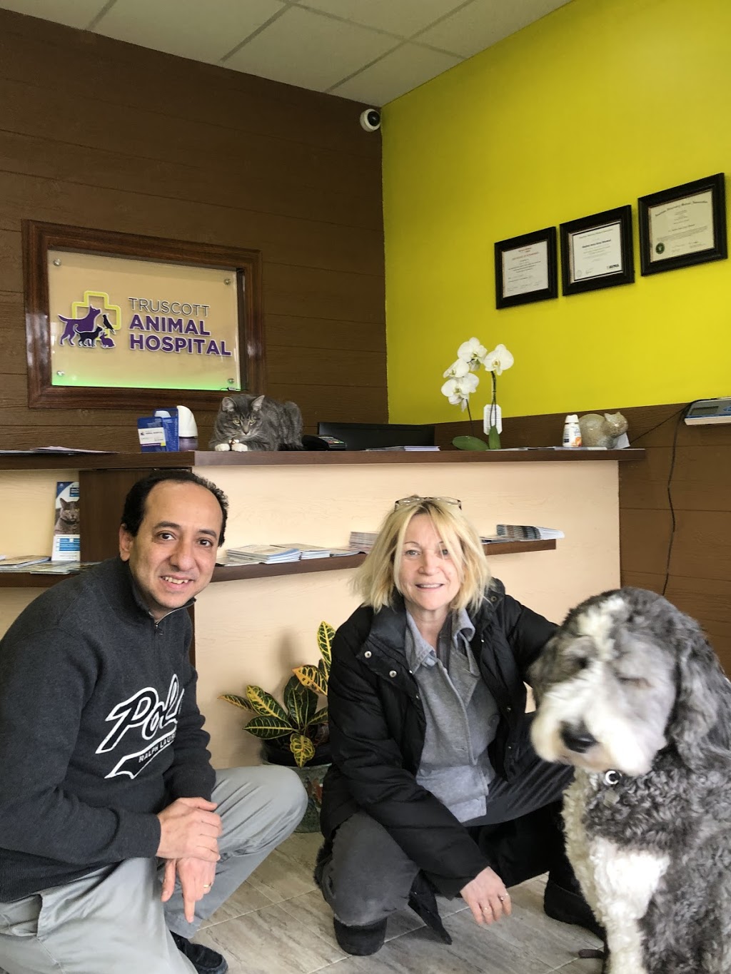 Truscott Animal Hospital | 2425 Truscott Dr, Mississauga, ON L5J 2B4, Canada | Phone: (905) 916-8999