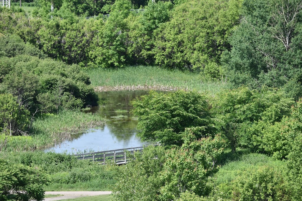 Parc du Marais | Duberger–Les Saules, Quebec City, QC G1M 0A2, Canada