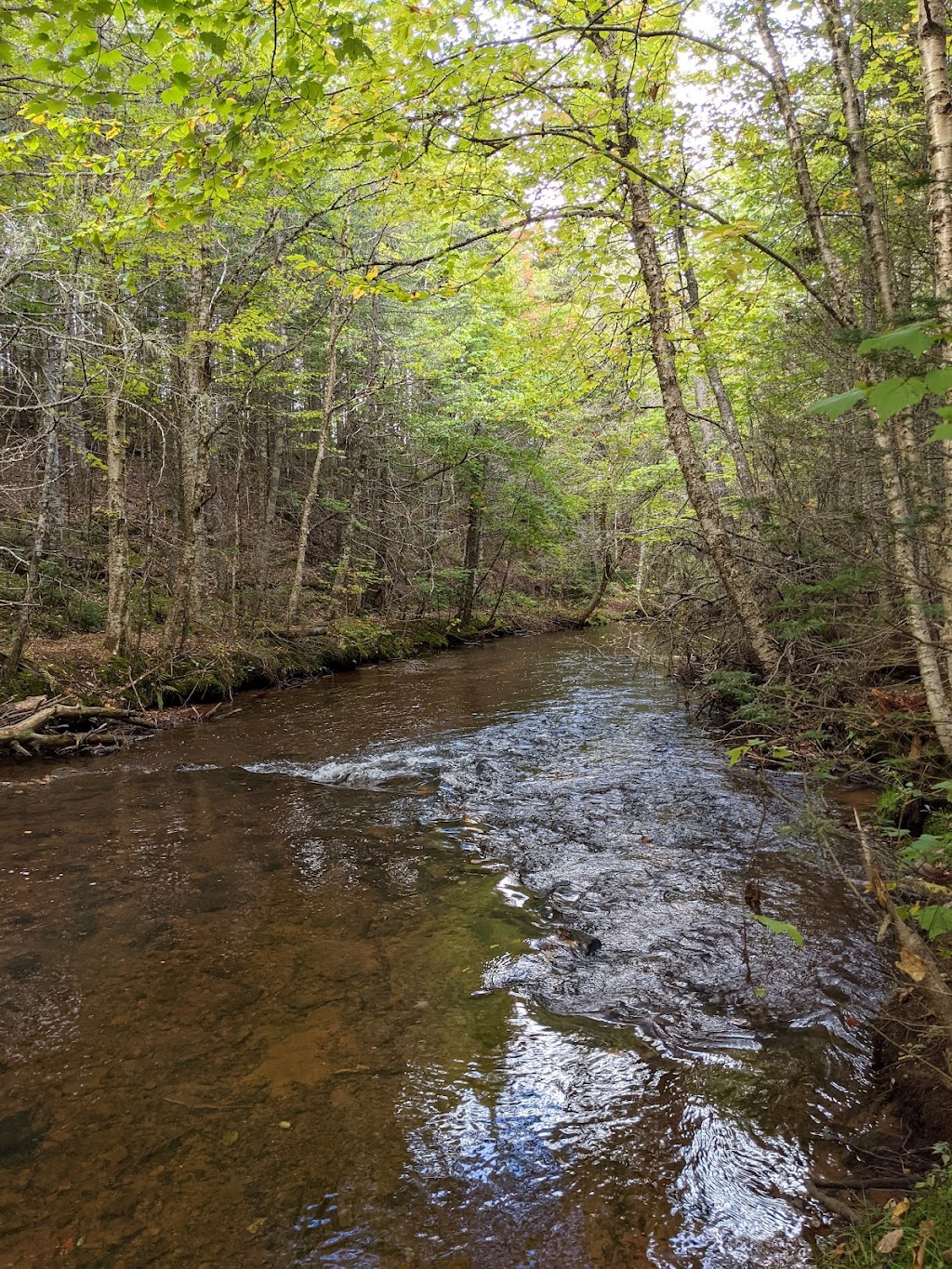 Winter River Hiking Trail | E Suffolk Extension, Prince Edward Island C1C 0A7, Canada | Phone: (902) 894-7535