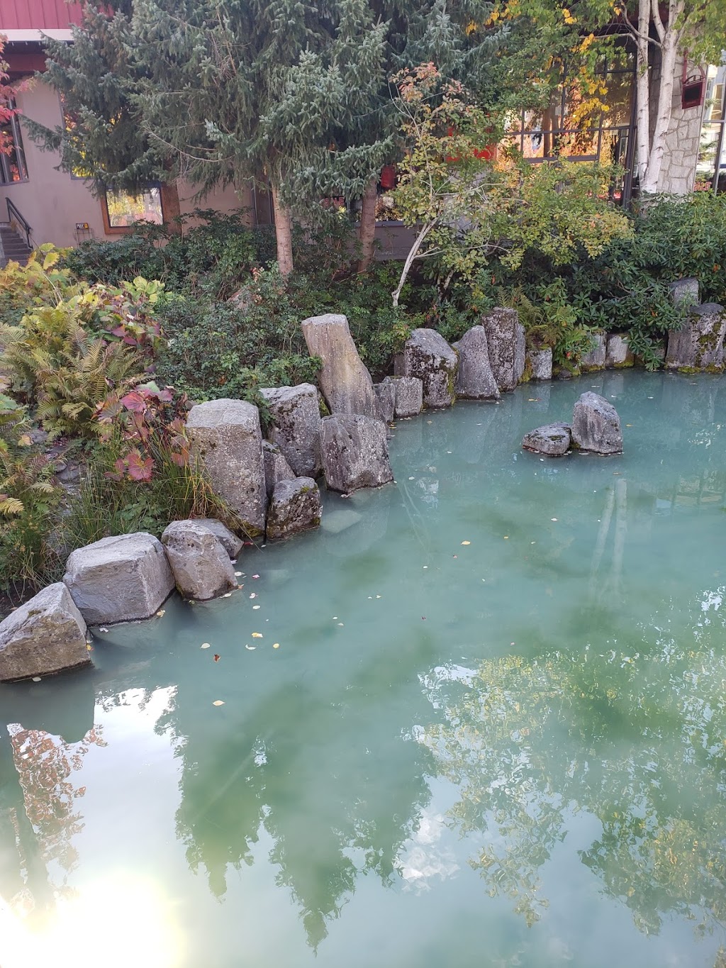 Meditation Guru | 8458 144 St, Surrey, BC V3W 5T7, Canada | Phone: (604) 614-9078