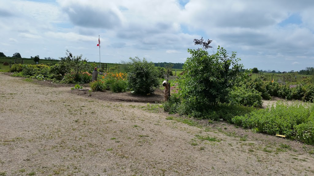 Bruce Botanical Food Gardens | 62 Park St, Ripley, ON N0G 2R0, Canada | Phone: (519) 395-3735