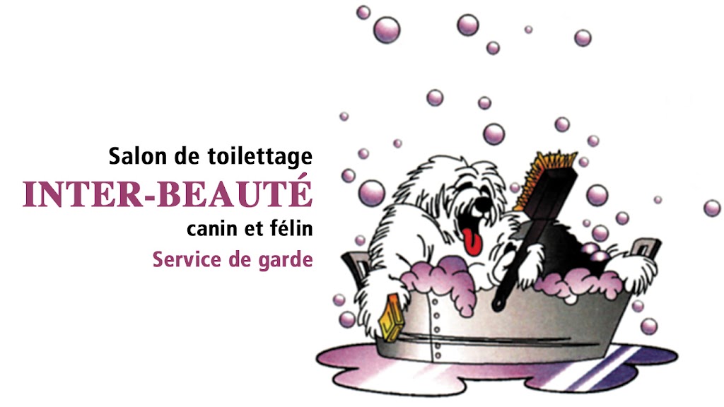 Salon De Toilettage Inter Beauté Canin Et Félin | store | 45 Rue St Pierre, Saint-Constant, QC J5A 1B9, Canada | 4506326565 OR +1 450-632-6565
