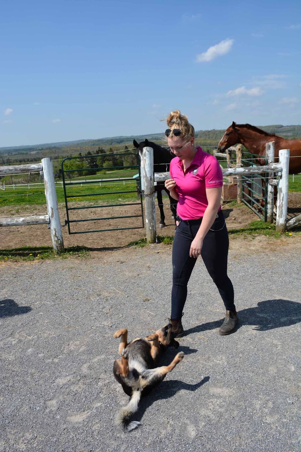 Sky Haven Retreat & Equestrian Centre | 184 Ski Hill Rd, Bethany, ON L0A 1A0, Canada | Phone: (705) 772-3524
