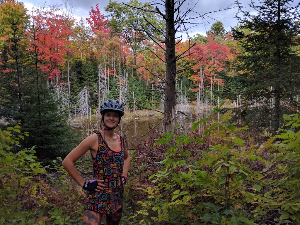 The Buckwallow Cycling Centre | 1064 Reay Rd E, Gravenhurst, ON P0C 1G0, Canada | Phone: (705) 687-8858