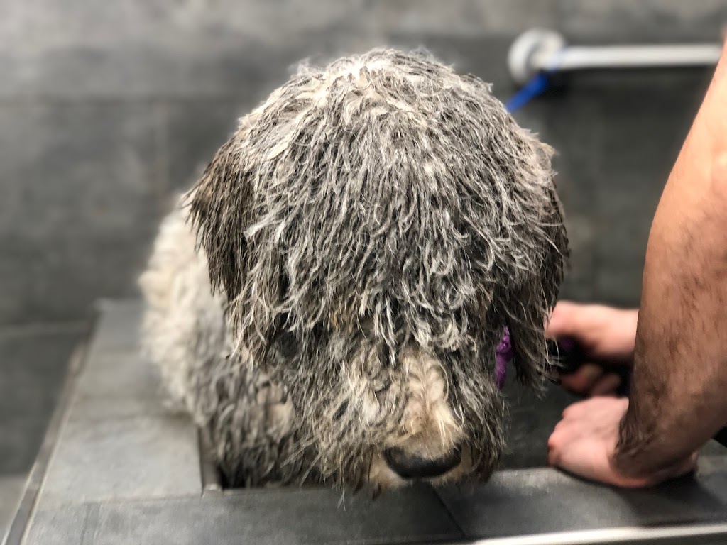 Bosleys by Pet Valu | 2828 E Hastings St Unit 101, Vancouver, BC V5K 5C5, Canada | Phone: (604) 251-3917