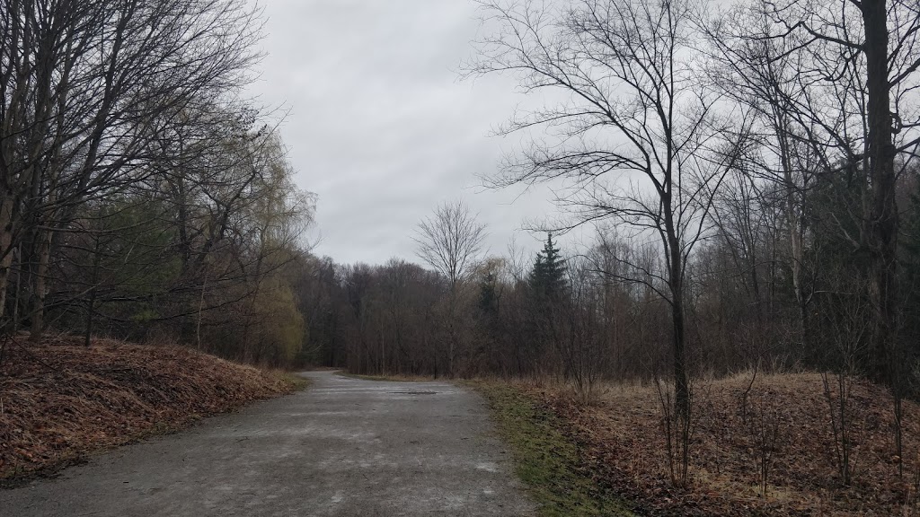 Warden Woods | 74 Fir Valley Ct, Toronto, ON M1H 3W5, Canada | Phone: (416) 338-4386