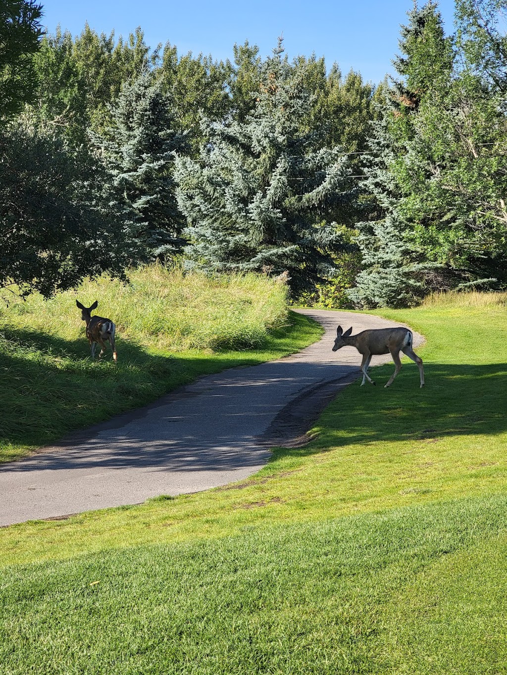 Carnmoney Golf & Country Club | 44001 Dunbow Rd, De Winton, AB T1S 4X7, Canada | Phone: (403) 256-6161