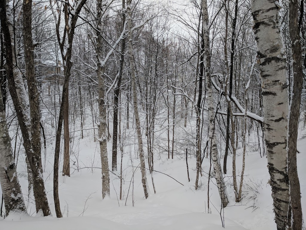 Chapel Hill Park | 1556 Forest Valley Dr, Orléans, ON K1C 6G9, Canada