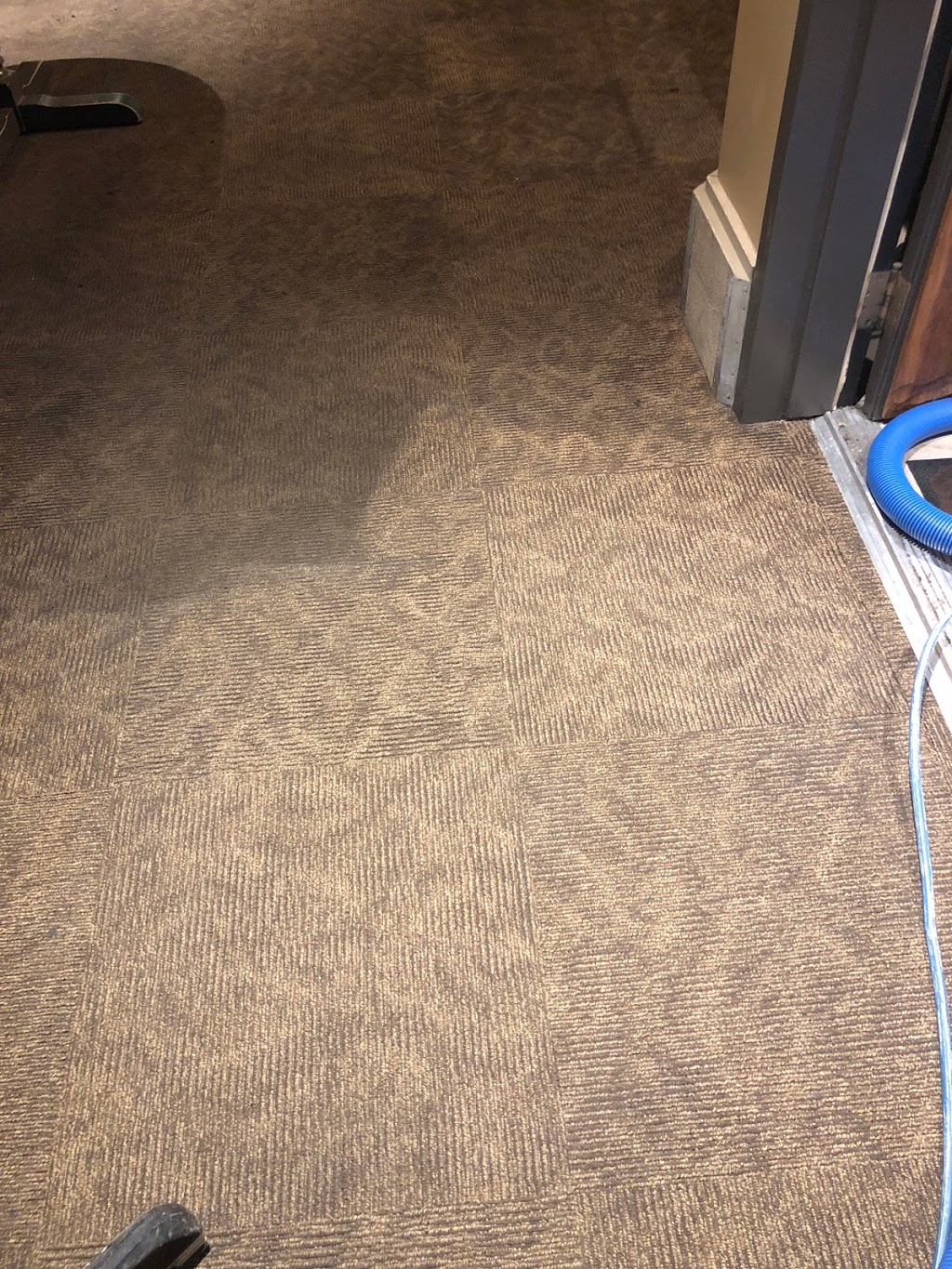 Citrus-O Carpet Care | 3955 Quadra St, Victoria, BC V8X 1J7, Canada | Phone: (250) 891-5448