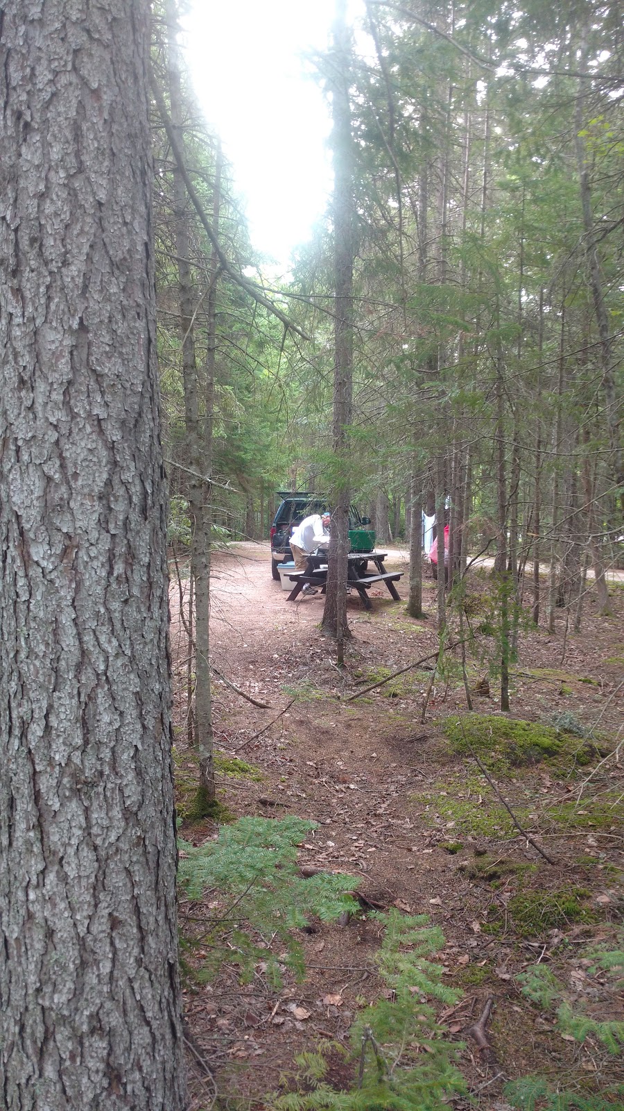 Lakeside Campground | 5913 NB-105, Mill Cove, NB E4C 3B2, Canada | Phone: (506) 488-2321
