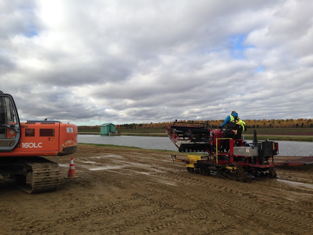 L&S Cranberry L.P | 3495 4e Rang, Saint-Lucien, QC J0C 1N0, Canada | Phone: (819) 397-4531