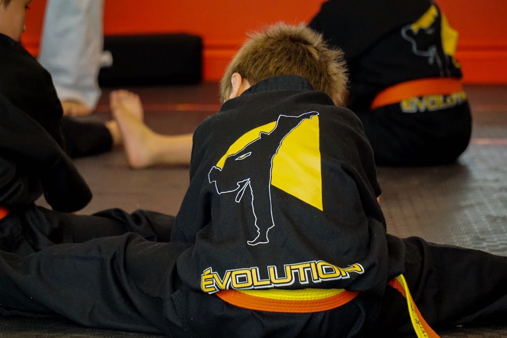 Karate Sports Beaconsfield | 42D Boulevard Saint-Charles, Beaconsfield, QC H9W 5Z6, Canada | Phone: (514) 730-1924