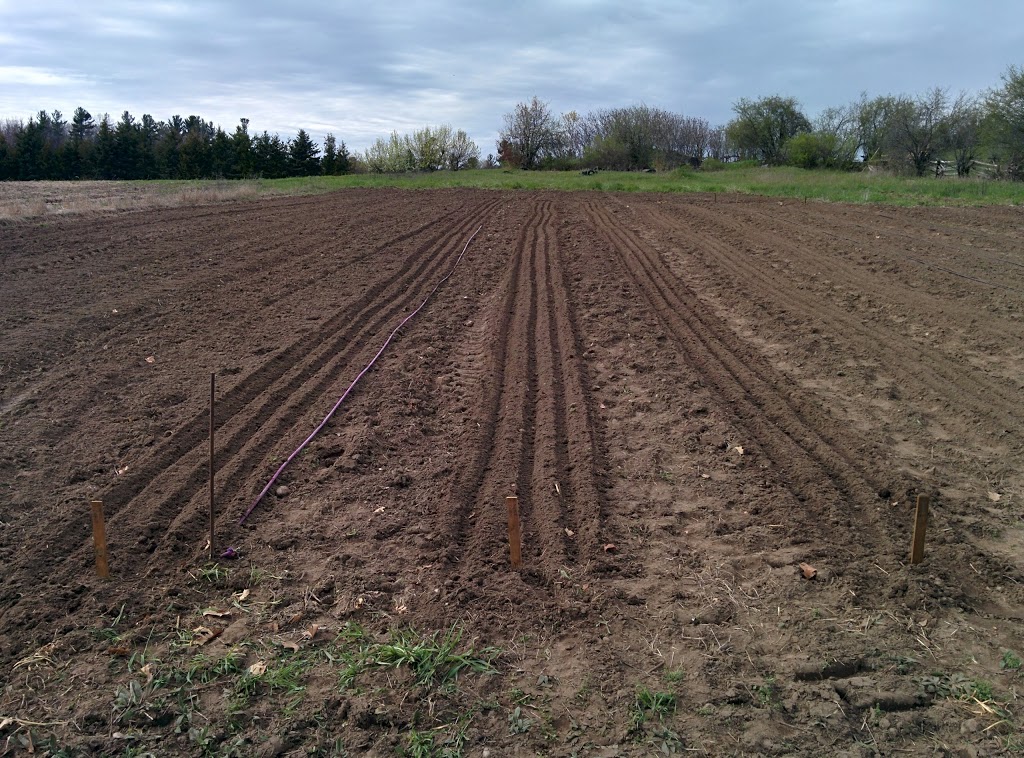 Cedar Grove Organic Farm | 625 Shamrock Rd, Omemee, ON K0L 2W0, Canada | Phone: (705) 799-1728