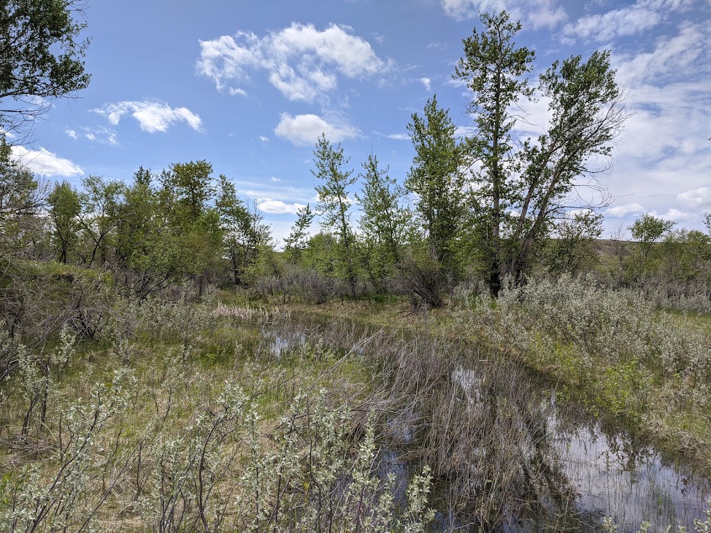 Woolford Provincial Park | Township Rd 30A, Lethbridge, AB T1H 0H5, Canada | Phone: (403) 382-4097