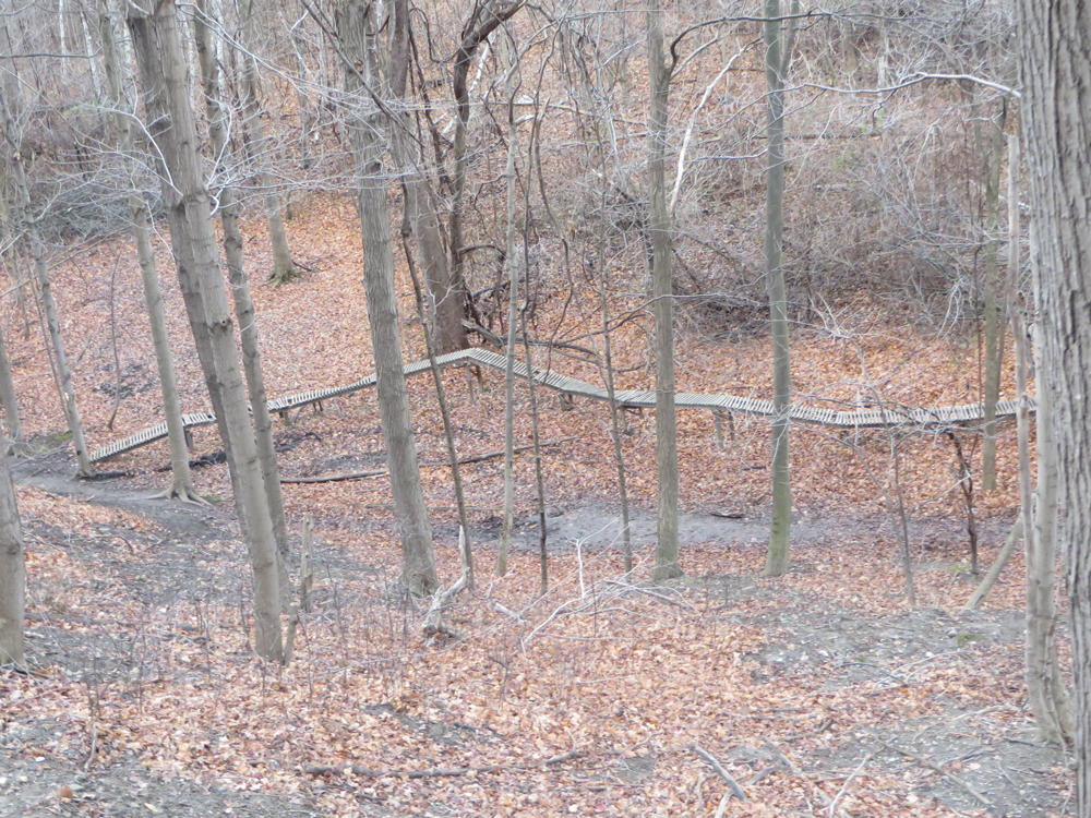 Hinder Property | Willowdale, Toronto, ON, Canada