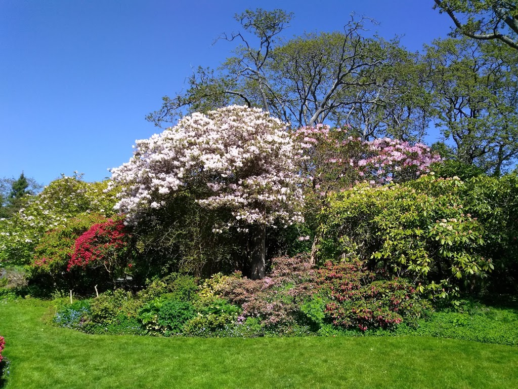 The Teahouse at Abkhazi Garden | 1964 Fairfield Rd, Victoria, BC V8S 1H2, Canada | Phone: (778) 265-6466