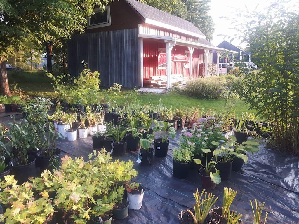 Maritza Roy Horticultrice | 738 Rte de St Vallier, Saint-Vallier, QC G0R 4J0, Canada | Phone: (418) 998-2117