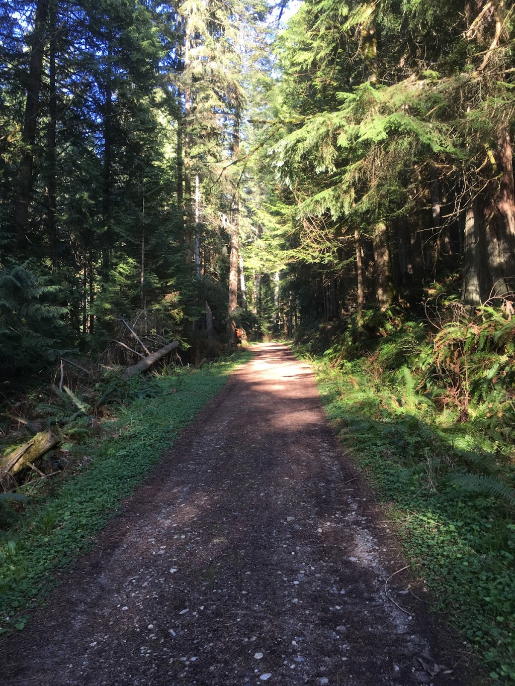 Rock Trail | 224 Cleator Rd, Bellingham, WA 98229, USA
