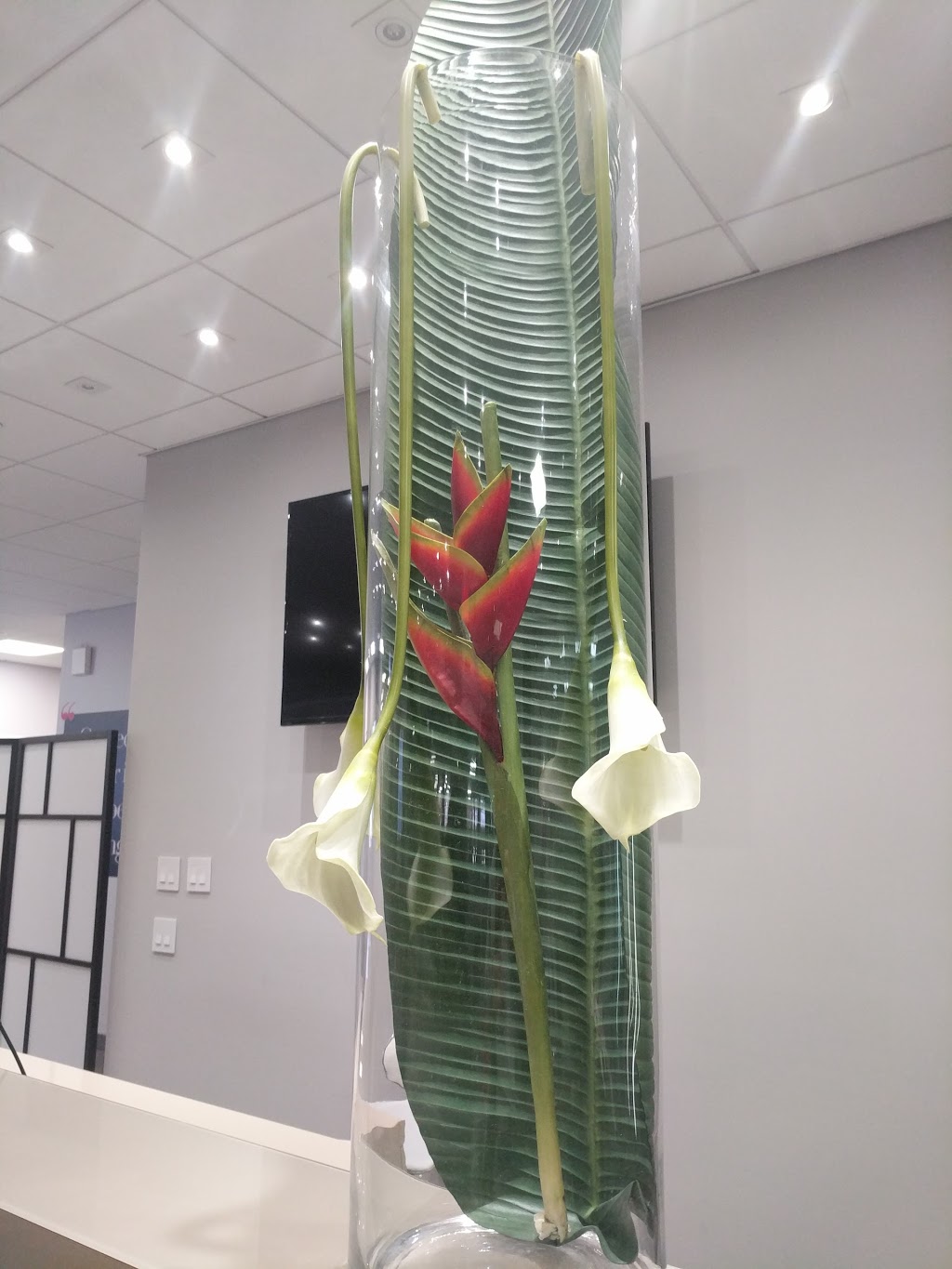 Avanti Le Spa | 6900 Boulevard Décarie, Côte Saint-Luc, QC H3X 2T8, Canada | Phone: (514) 739-2575