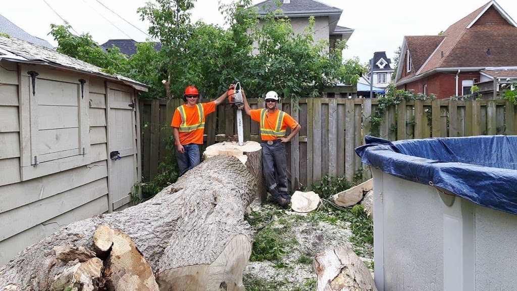 Summit Tree Service | 6709 Glendon Dr, Melbourne, ON N0L 1T0, Canada | Phone: (519) 868-0140