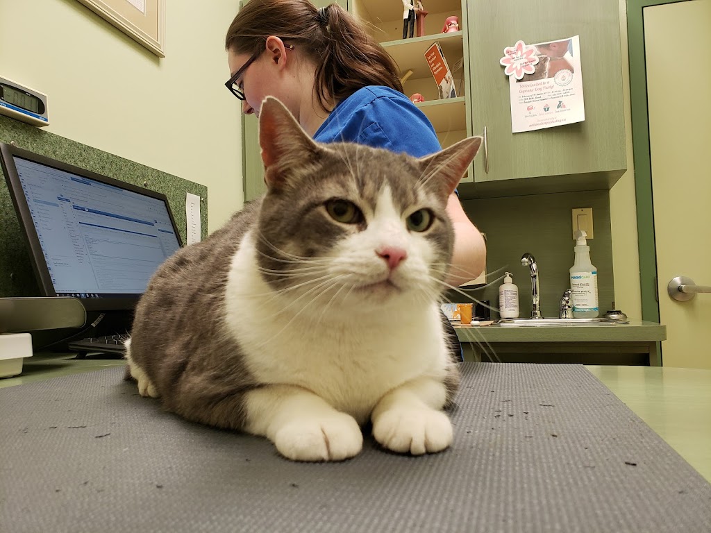 VCA Canada Beardall Animal Hospital | 393 Bath Rd, Kingston, ON K7M 7C9, Canada | Phone: (613) 544-6336