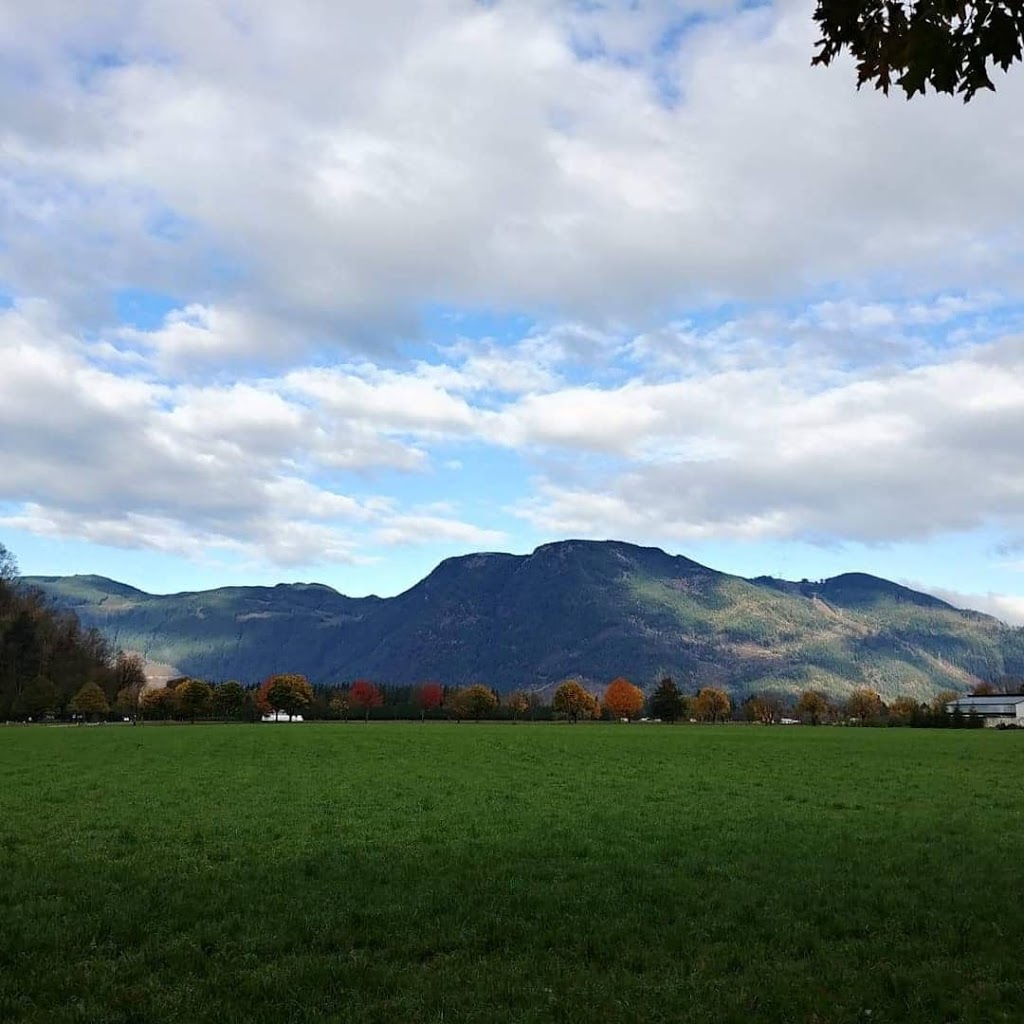 Chilliwack and Agassiz Private In Home Prenatal Classes and Birt | 6837 Lougheed Hwy, Agassiz, BC V0M 1A1, Canada | Phone: (604) 701-2511