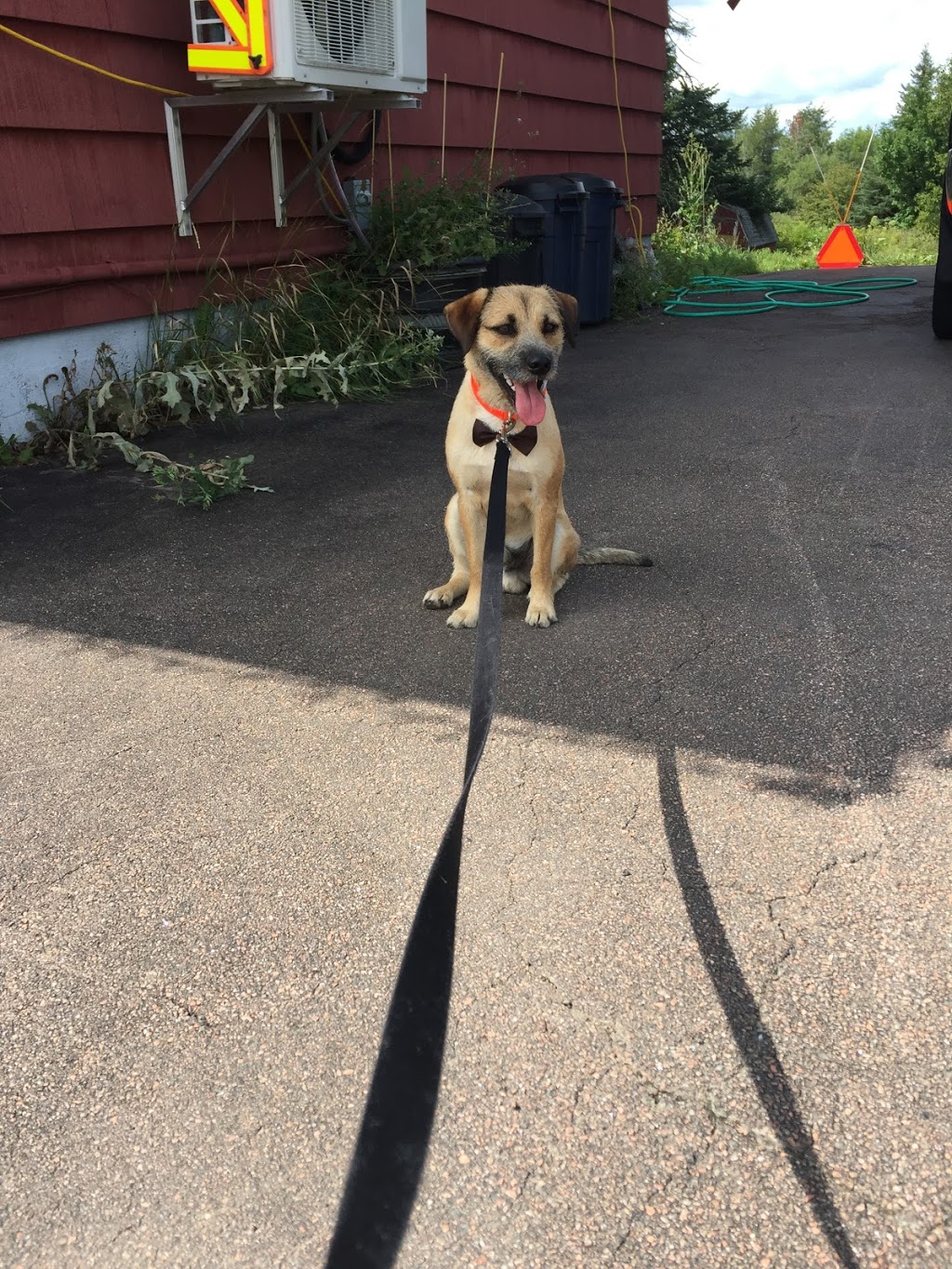 Codiac Pet Supply | 121 Pine Glen Rd, Riverview, NB E1B 1V5, Canada | Phone: (506) 388-9274