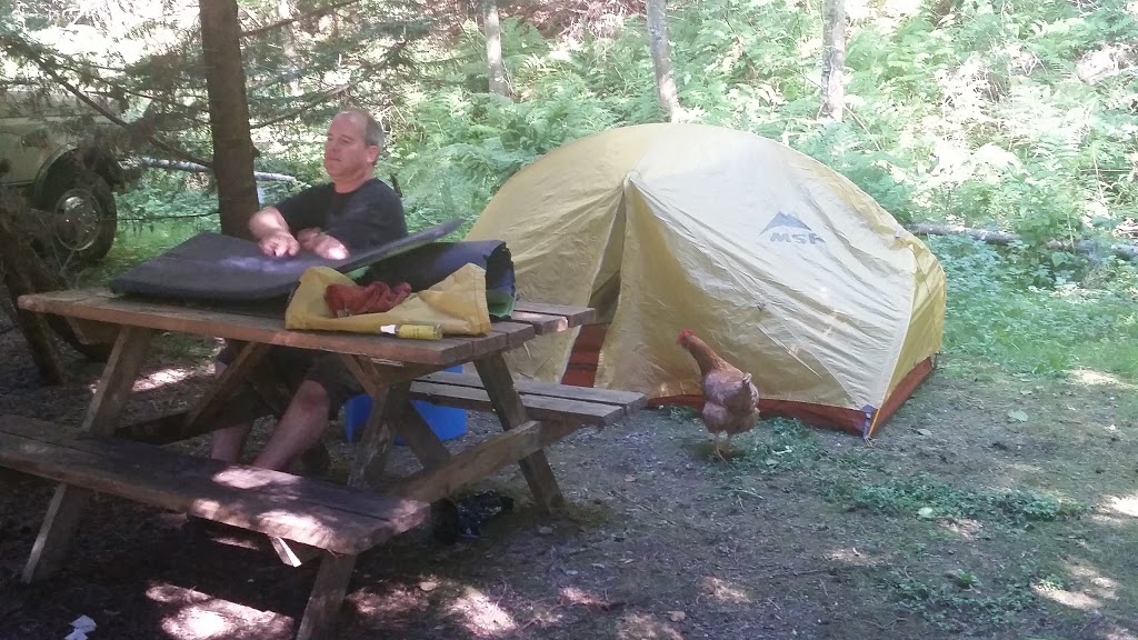 Nanoose Creek Campground | 2212 Island Hwy E, Nanoose Bay, BC V9P 9A8, Canada | Phone: (250) 468-7186