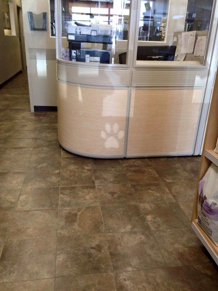PetFocus Veterinary Hospital | 15 Peakview Way, Halifax, NS B3M 0G2, Canada | Phone: (902) 445-8387