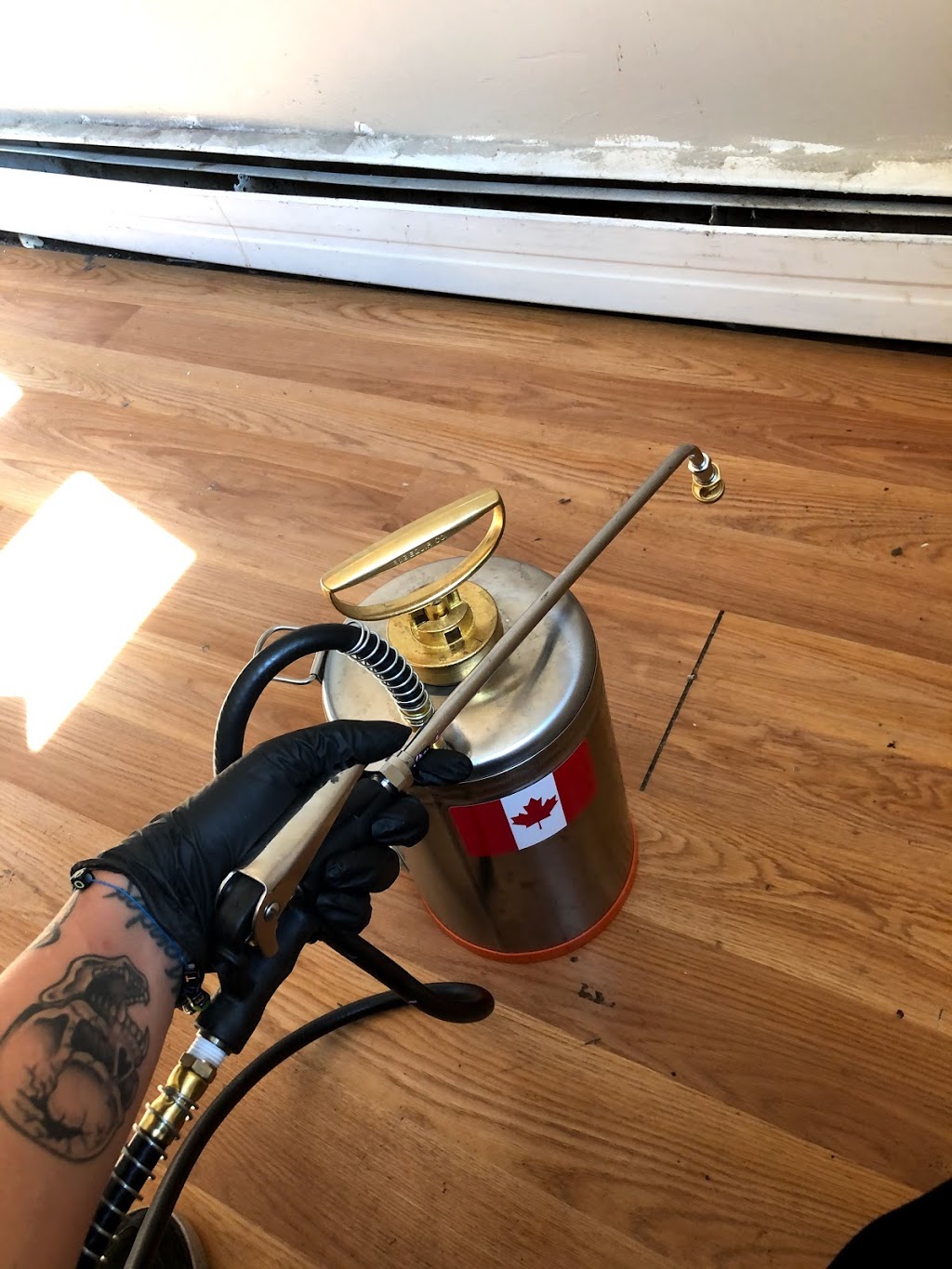 Last Call Pest Control | 916 Harrington Rd, Frankford, ON K0K 2C0, Canada | Phone: (416) 951-5289