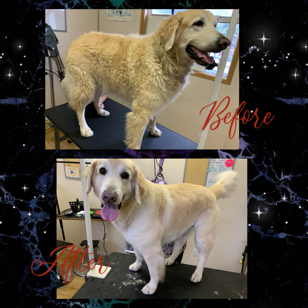 The Dogs Paw | 1423 Brunette Ave #207, Coquitlam, BC V3K 7A2, Canada | Phone: (778) 879-7694